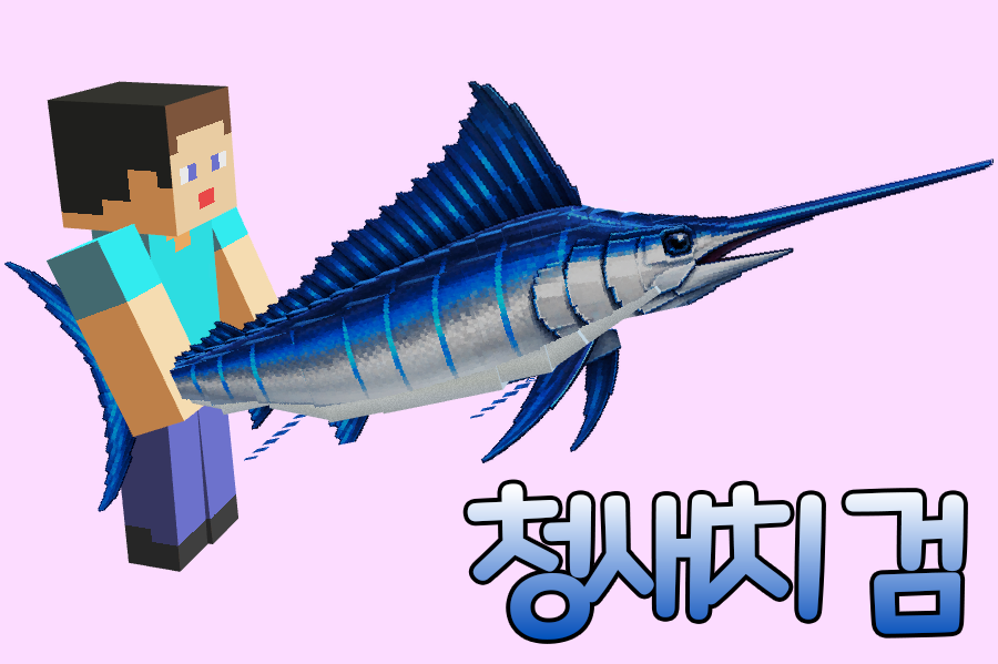 🐟 청새치 검